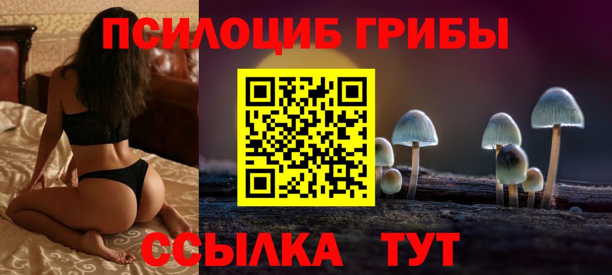 Галлюциногенные грибы GOLDEN TEACHER Дзержинский